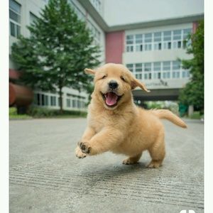 Meet your Posher, Meredith